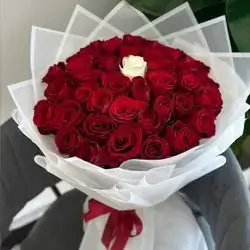 چەپکە گوڵی سروشتی گوڵی سوور و 1 گوڵی سپی