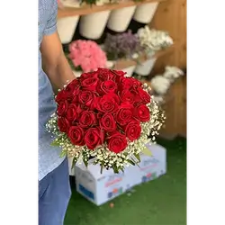 25 Rose