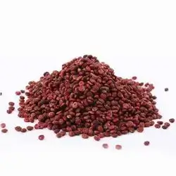 Coarse sumac