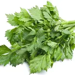 Celery 
