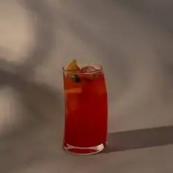 Watermelon Mojito