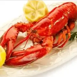 Lobster