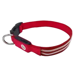 Pet LED Collar - S