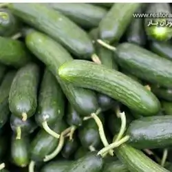 cucumber