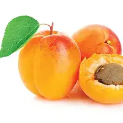 Lebanese Apricot