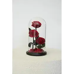 3 Natural Flowers
