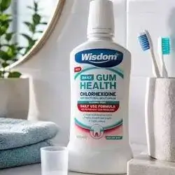 Wisdom Gum Health Chlorhexidine Cooling Mint 500ml