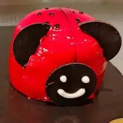 ladybug