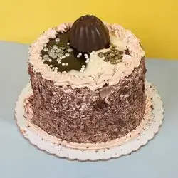 Stuffed Nutella Cake