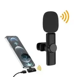 Mic and Charge Type C