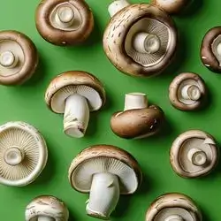 Mushroom