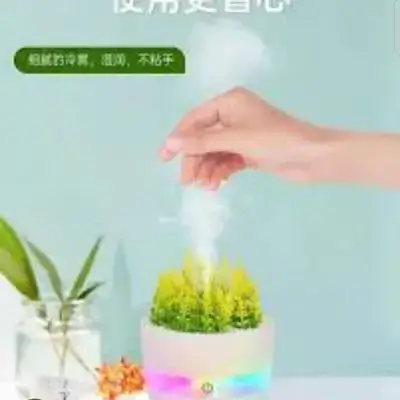 HUMIDIFIER