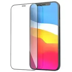 Glass iPhone 12 Pro Max Silver with Gold