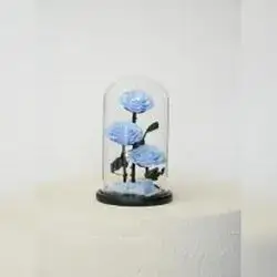 3 Everlasting Flowers - Light Blue