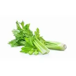Fresh Celery Kg