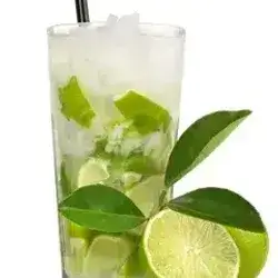 Lemon Mint Mojito