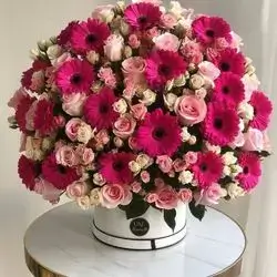 Mix