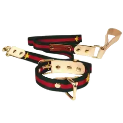 E67 Pet Collar+Leash
