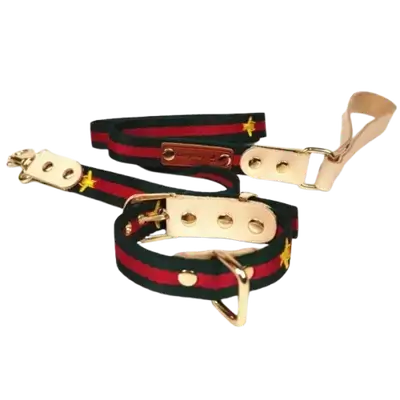 E67 Pet Collar+Leash