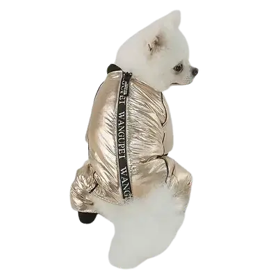 E300 Pet Clothes