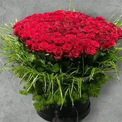 Sky Flower Special Box