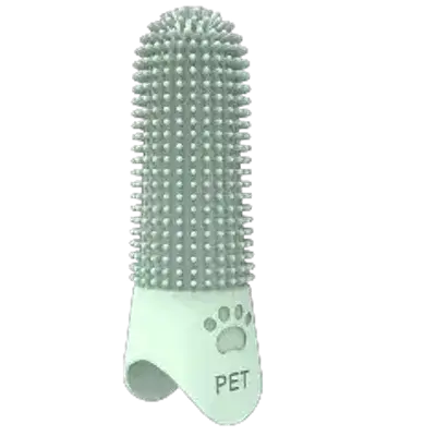 Tooth Brush