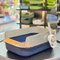Cat Open Litter Box