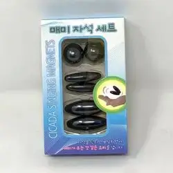 magnetic Game