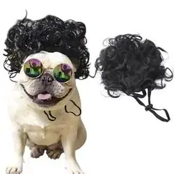 Pet Wig