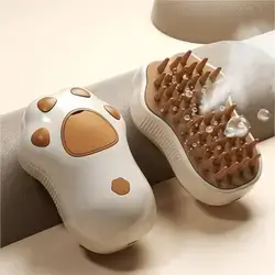 فڵچەی هەڵمی ڕژێنەر