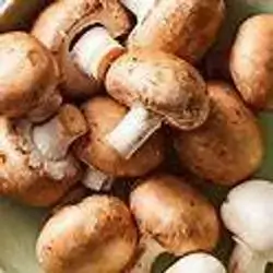 Mushroom 