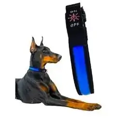 Pet LED Collar L