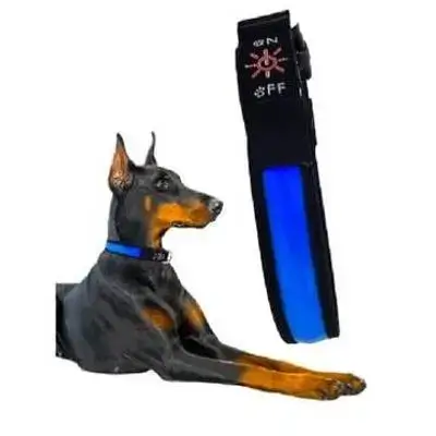 Pet LED Collar L