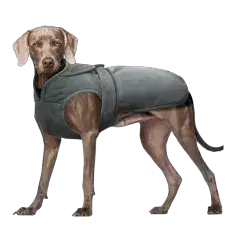 Kuoser Dog Jacket 