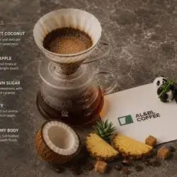 Special Coconut V60