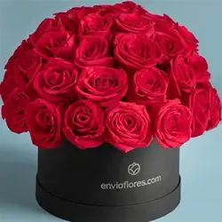 Flower Box