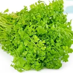 Cress