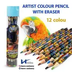 Color Pencil-COSTANTINO