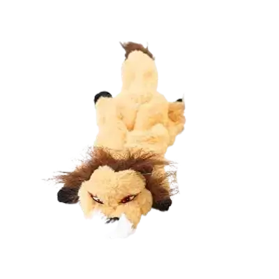 E404 Pet Toy