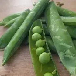 Wet Pea