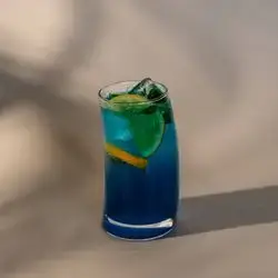 Blueberry Mojito