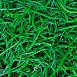 Green Bean