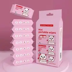 Mini Wet Wipes 64x