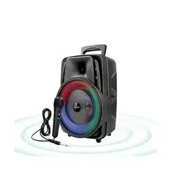 KTS-2047 SPEAKER BIG SOUND