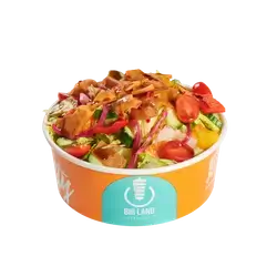 Fattoush Salad