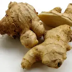 Ginger