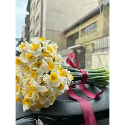 Daffodils Bouquet 20 Flowers