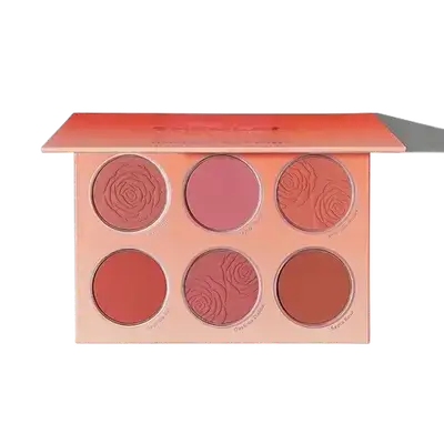 Floral Flush Blush Palette COTTAGE CORE GARDEN 18g _ SHEGLAM