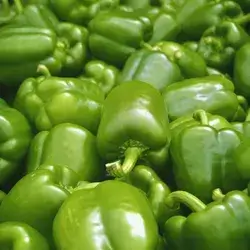 Green Pepper