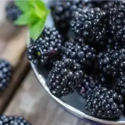 Black Mulberry